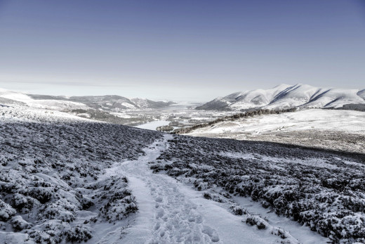 1304668 (a): :1920x1280